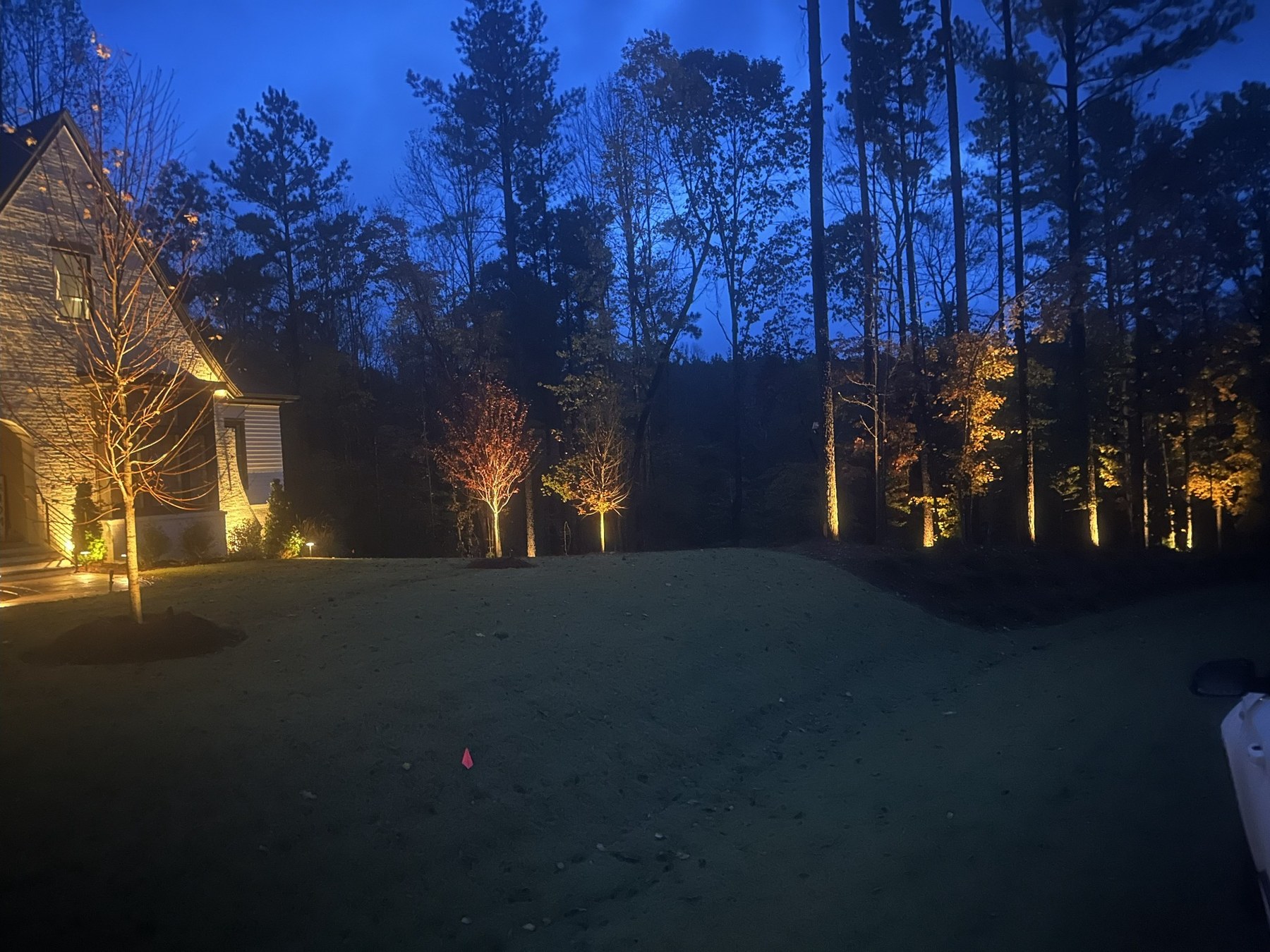 Landscape Lighting Project 1