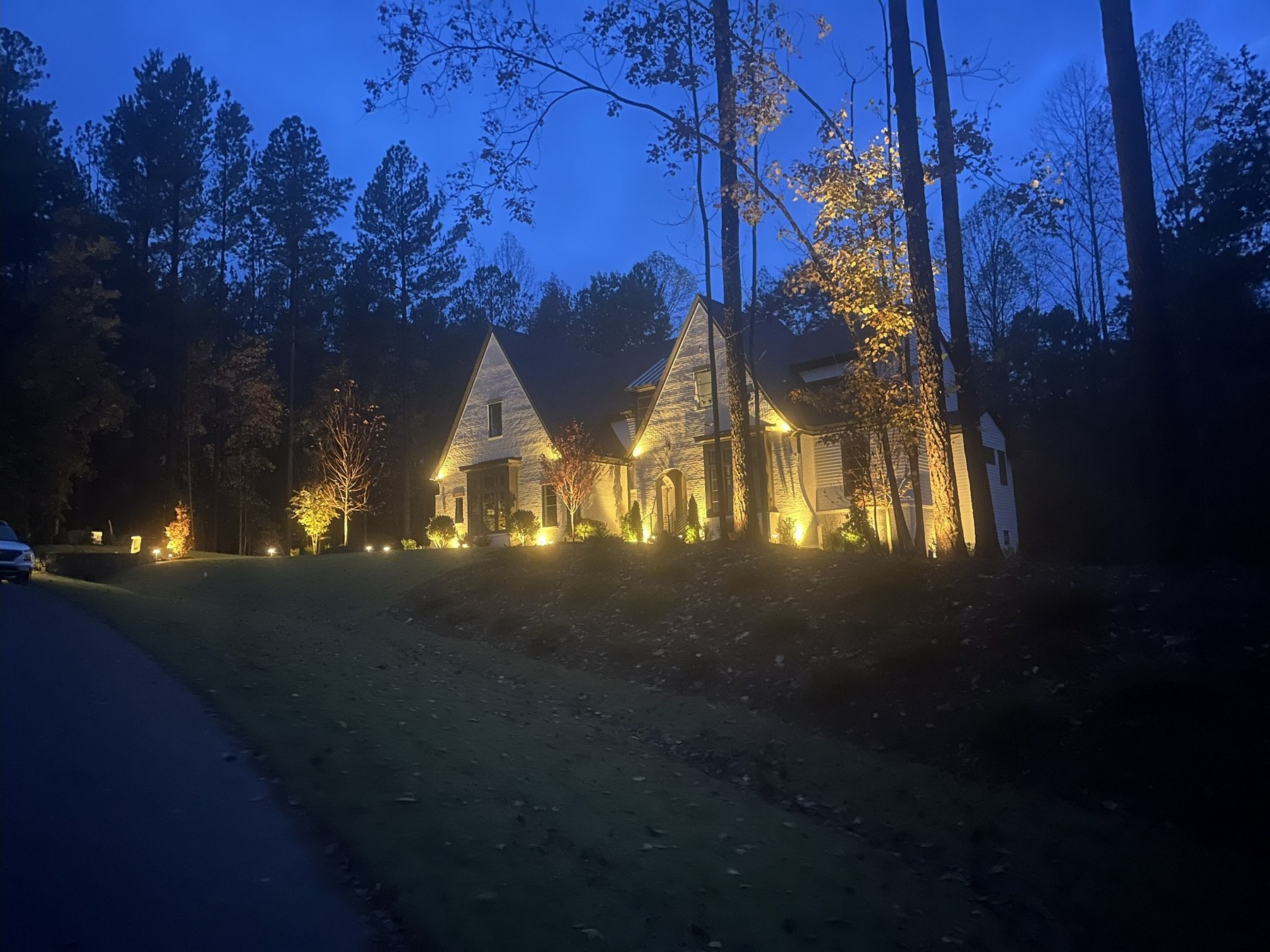 Landscape Lighting Project 2