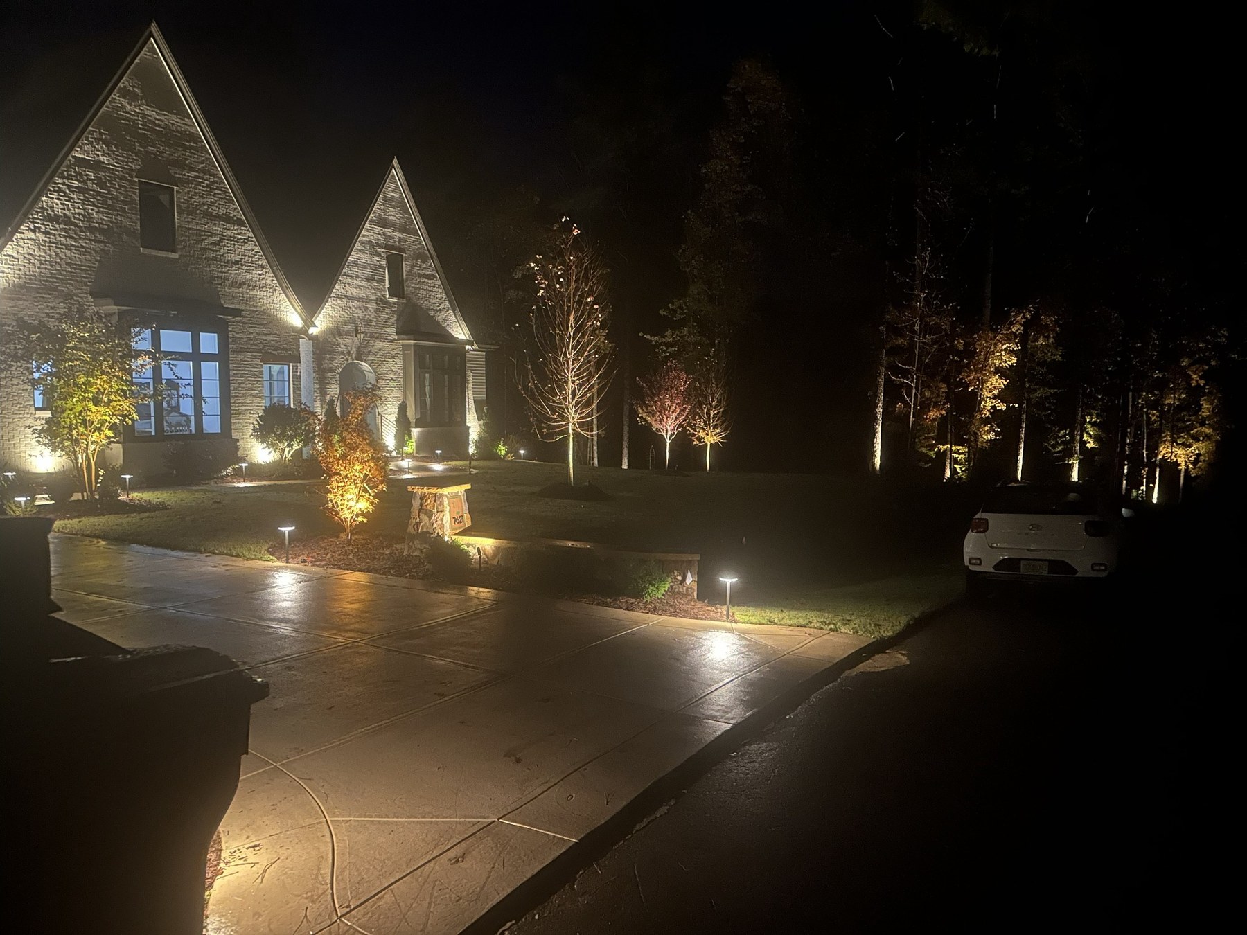 Landscape Lighting Project 3